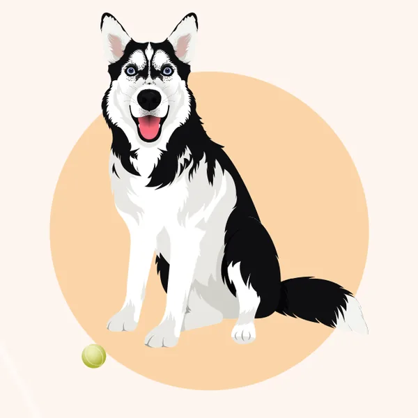 Minsom online store character: Bobby the husky