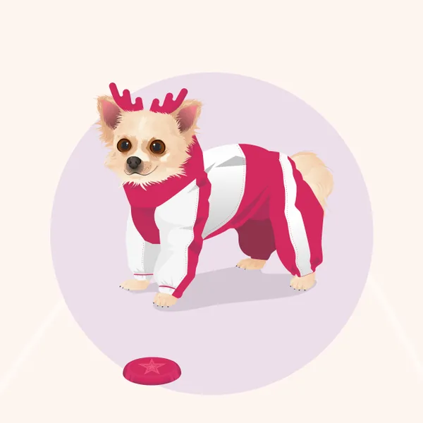 Minsom online store character: Lucky the chihuahua in a costume