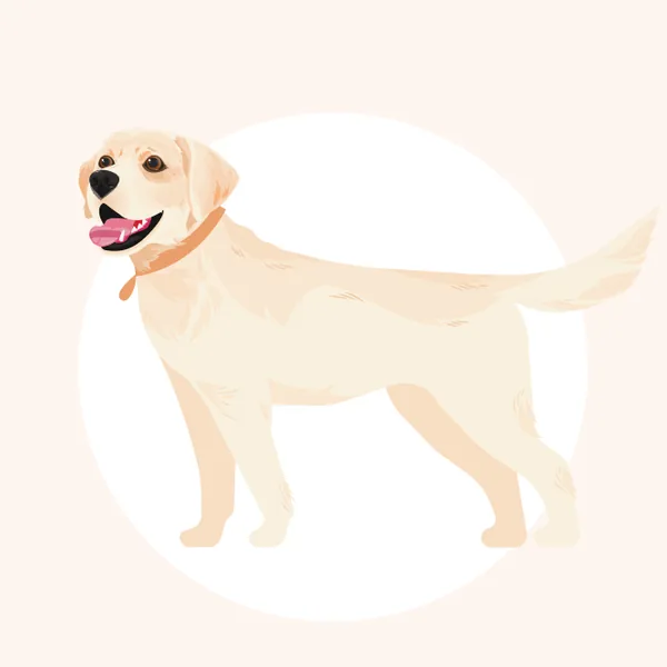 Minsom online store character: Ludwig the retriever