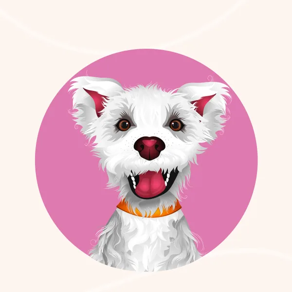 Minsom online store mascot — Minsom the white terrier