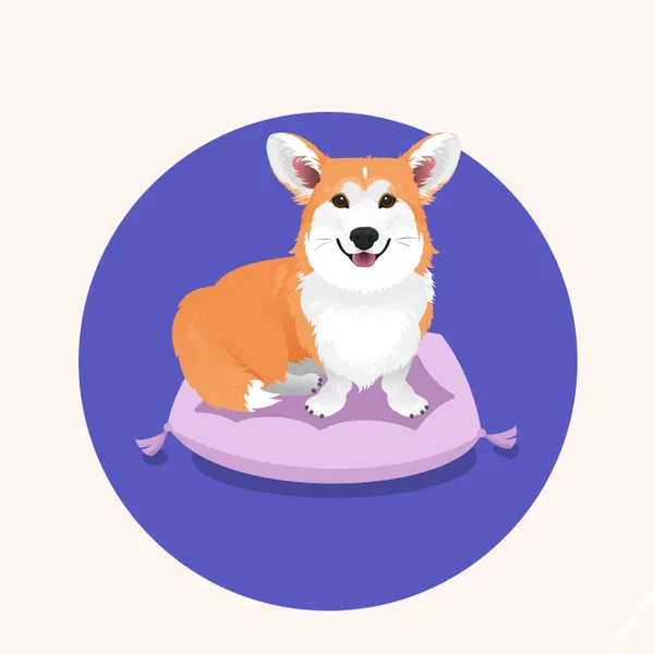 Minsom online store character: Misty the corgi on a cushion