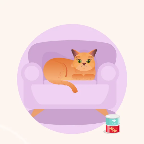 Minsom online store character: Molly the ginger cat in an armchair