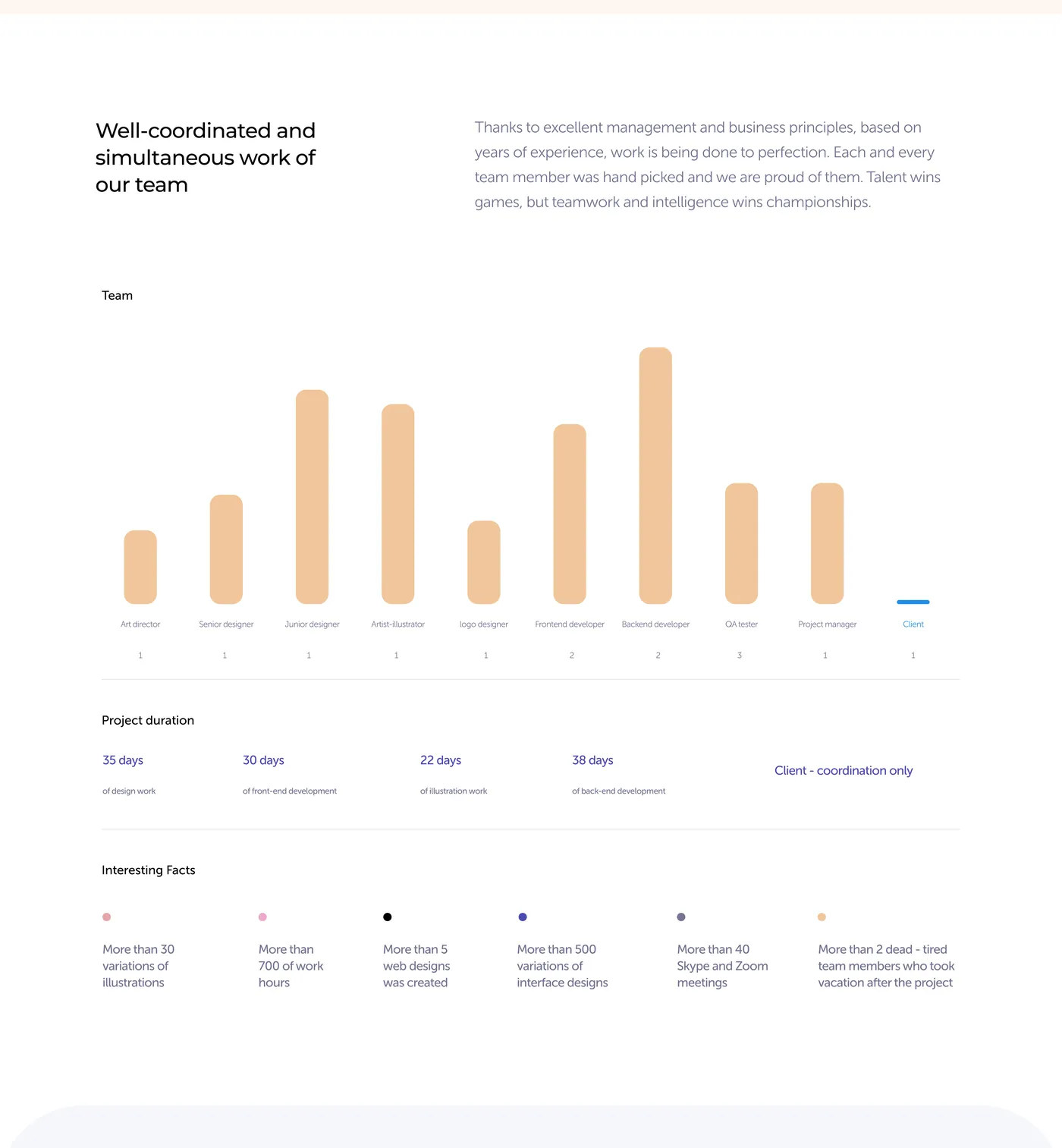 Minsom mobile pages, project team and packaging — part 2